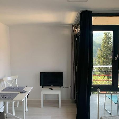 Gemuetliches Einzimmer-Apartment 33 Bad Wildbad Zewnętrze zdjęcie