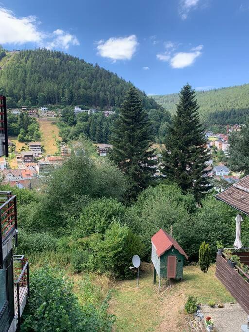 Gemuetliches Einzimmer-Apartment 33 Bad Wildbad Zewnętrze zdjęcie