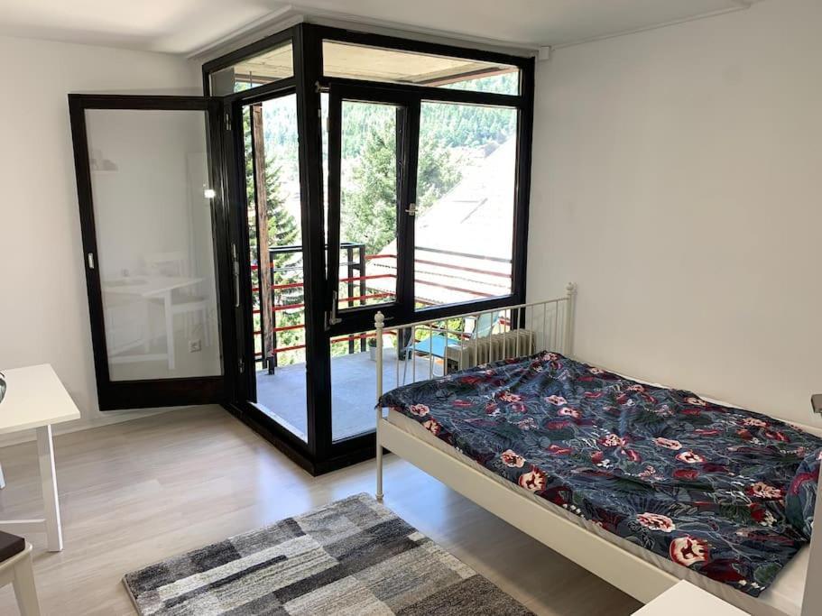Gemuetliches Einzimmer-Apartment 33 Bad Wildbad Zewnętrze zdjęcie