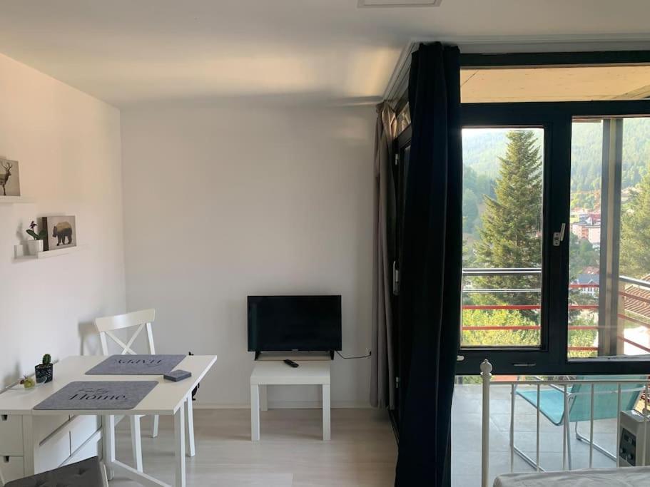 Gemuetliches Einzimmer-Apartment 33 Bad Wildbad Zewnętrze zdjęcie