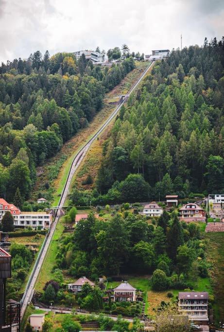 Gemuetliches Einzimmer-Apartment 33 Bad Wildbad Zewnętrze zdjęcie